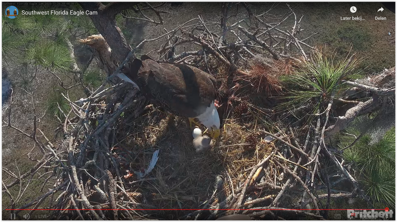 Screen Shot 12 26 25 at 04 10 PM