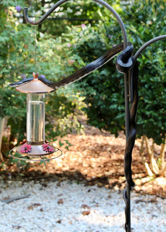 824C6D76-8DDA-47FF-B389-D712EC30094D