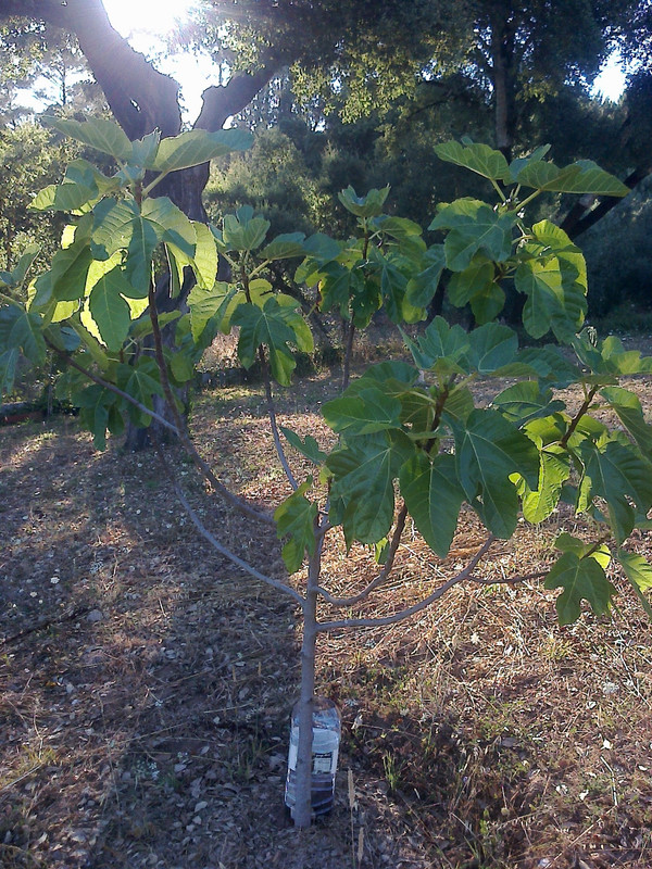 foto0138