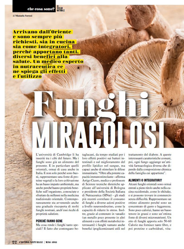 Cucina Nat Mag 2022 (3)