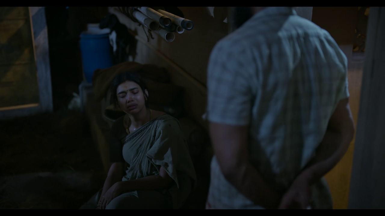 vlcsnap-2025-04-24-21h20m12s252