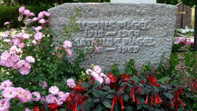 93-F-gel-Alfons.jpg