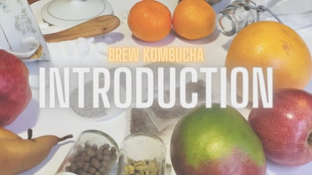 Brew Kombucha: Great Flavoured Beverage to Drink and Share