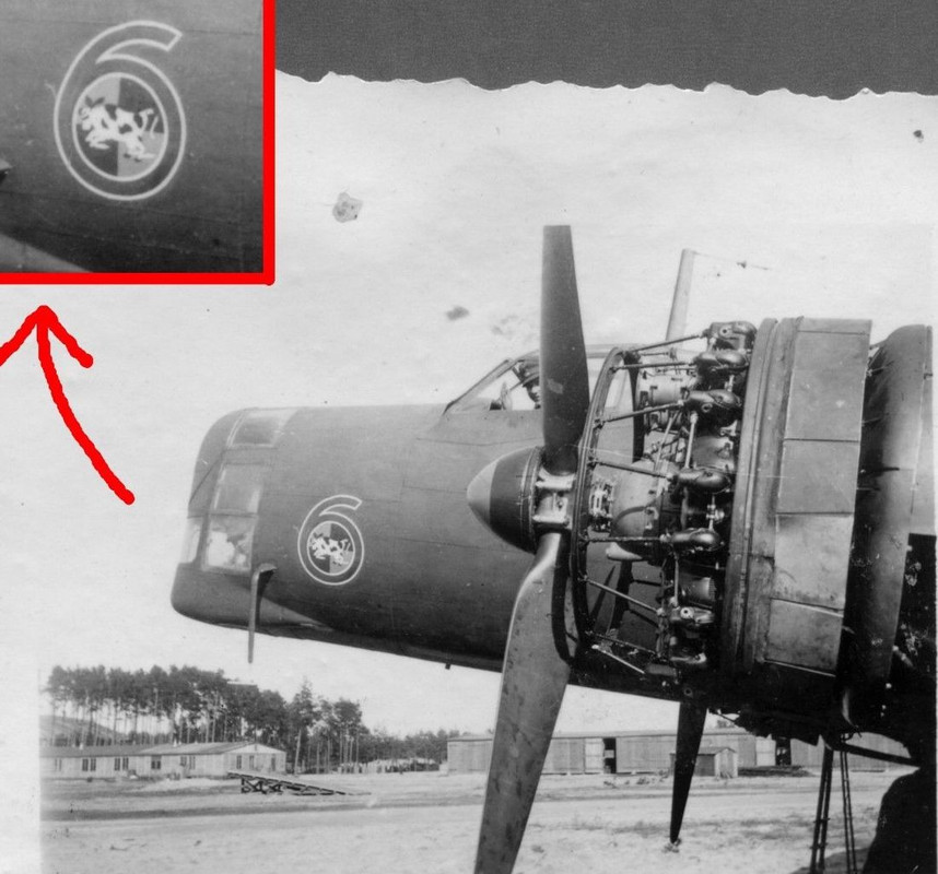 Staffelabzeichen BFS 6   Kilianowka (1)