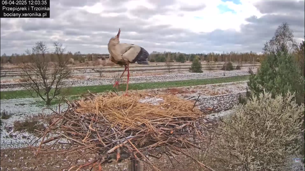 06042025minutazbocianem_7