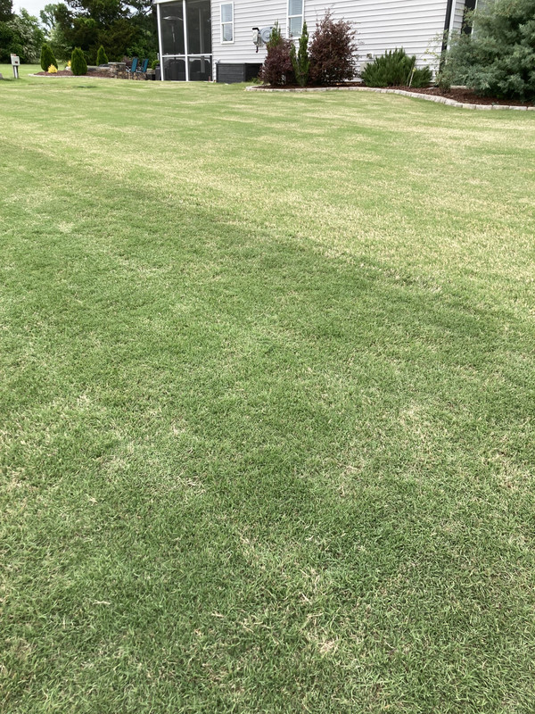 314371A5-F676-4DE3-95ED-1A4A3402B127