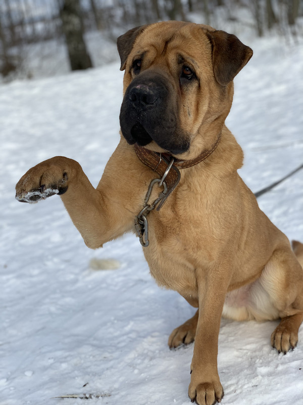 A49BED5C-FE24-4BE6-8C04-1B3CCD4FBD5D