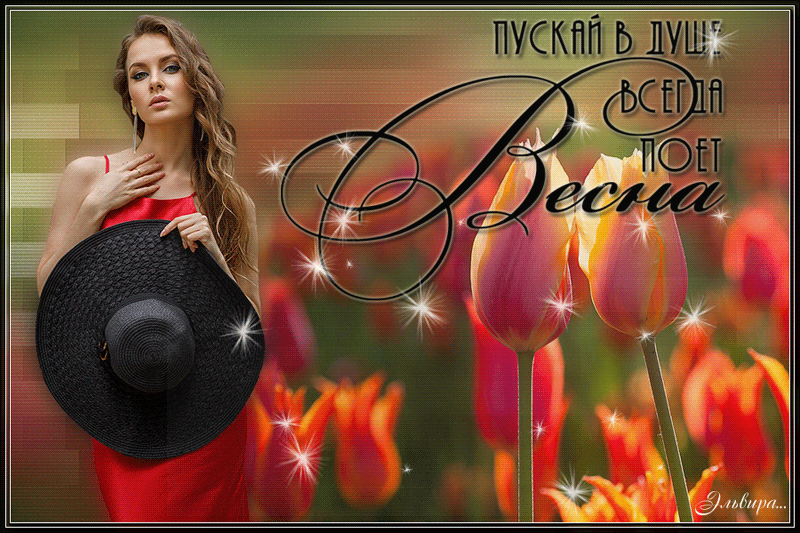 VESNA-202212100728ba0135ed