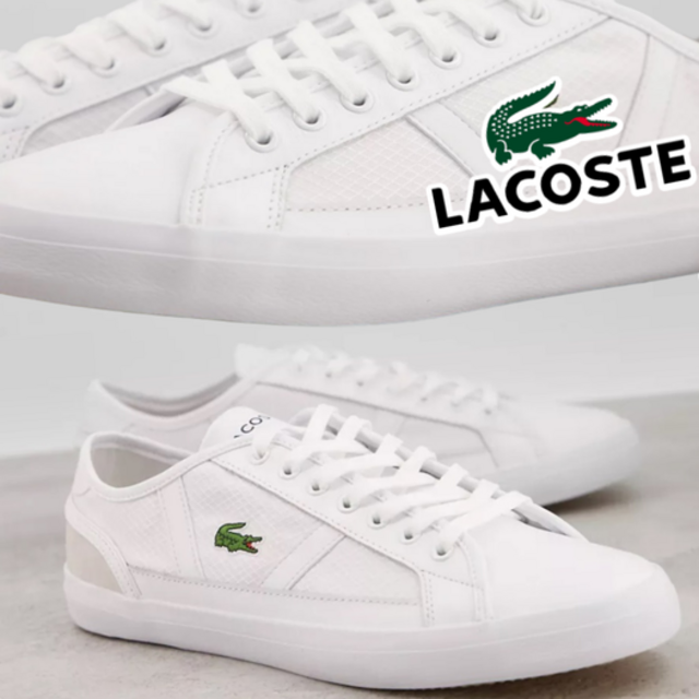 Tênis Lacoste Sideline Masculino