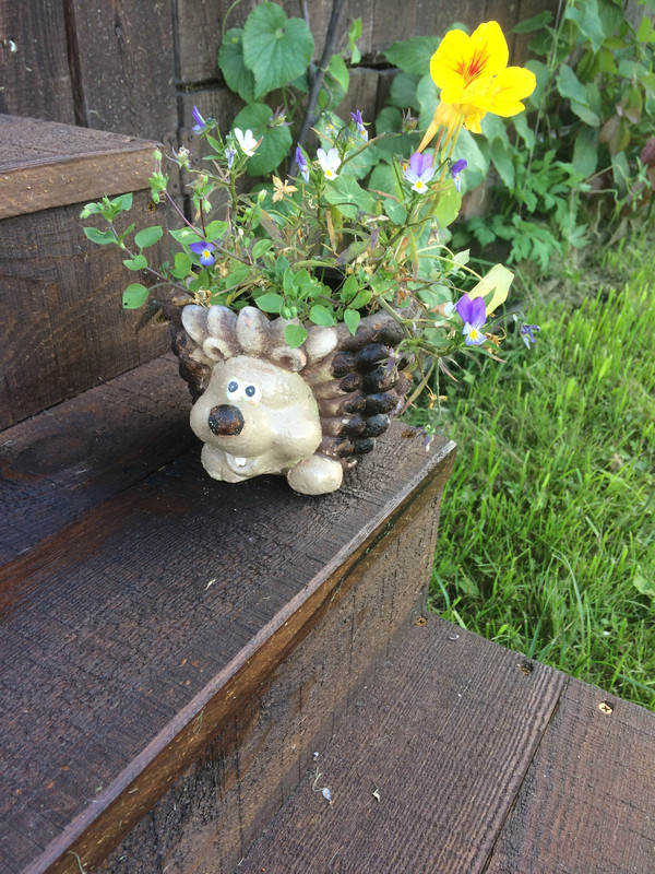 5D82D060-5D0F-4BFC-9B4A-0379EAEE26CA