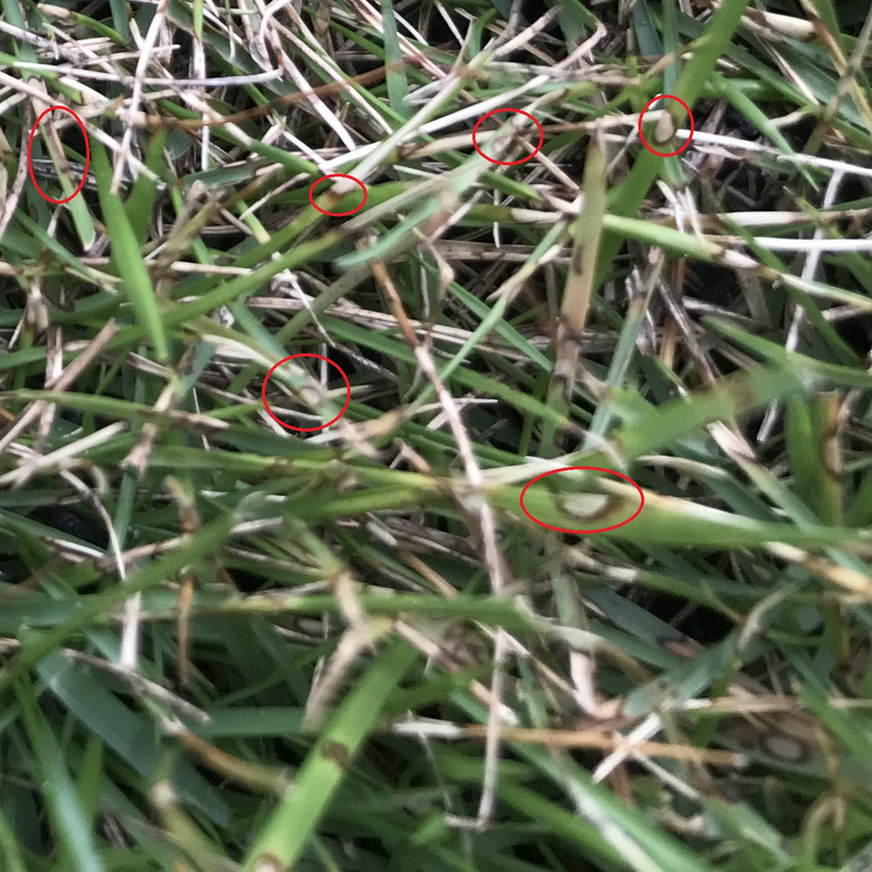 AC54_C7_FA-7_AA1-46_E9-_BBE1-24809404_D611