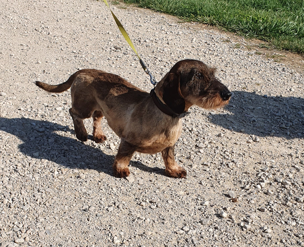 [Image: 20230706-184249.jpg]