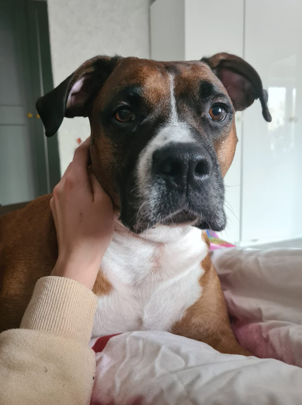 AB0FF6D2-EADE-4980-891B-84CBA818895A