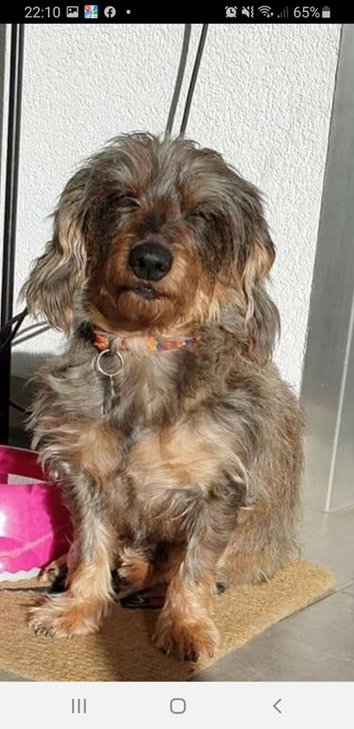 [Image: 133021047-518256272413663-8667292187100106077-n.jpg]