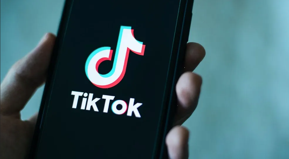 ¿Quieres ganar dinero viendo videos de Tik Tok? Esta vacante es para ti