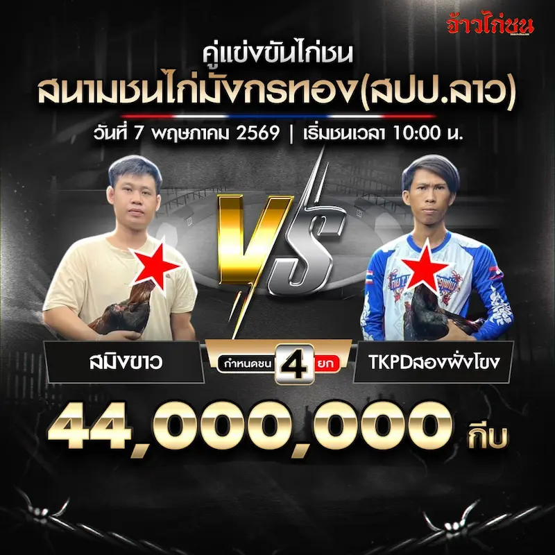 โปรแกรมไก่ชน สนามชนไก่มังกรทอง 7 พฤษภาคม 2569 สมิงขาว vs TKPDสองฝั่งโขง