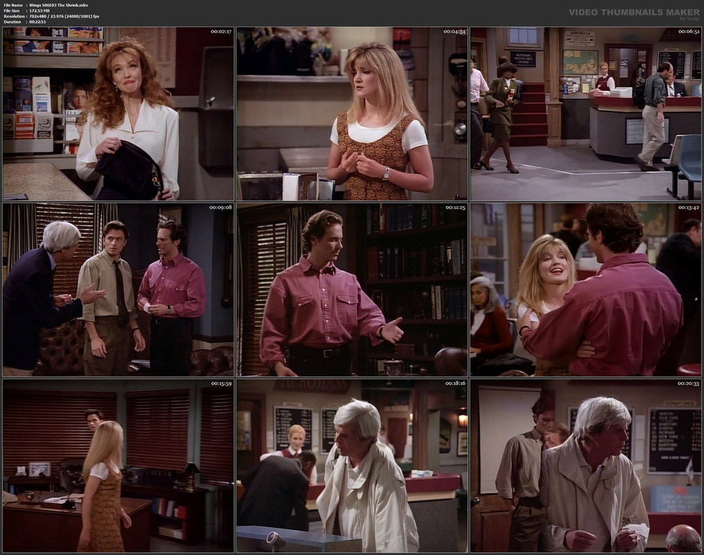 Wings S06E03 The Shrink.mkv