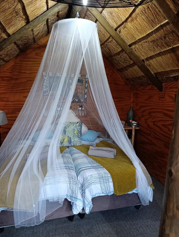 Такая близкая Африка. (ЮАР. 22 дня и 4200 км. Ноябрь-Декабрь)