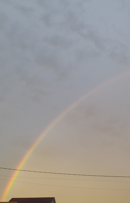 20221004_065139