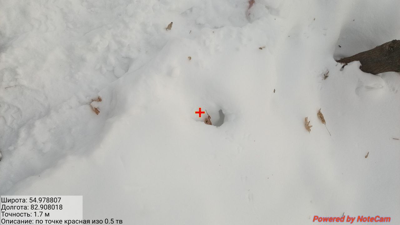 photo 2025 12 31 10 56 11