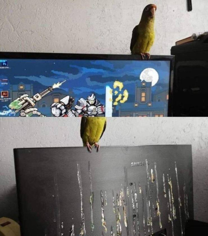 https://i.postimg.cc/85spVXpR/daily-picdump-3291-640-high-80.jpg