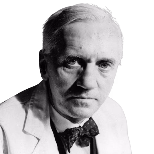 Tq7azk YDsju Lc0ALv B655PWg Bv Q