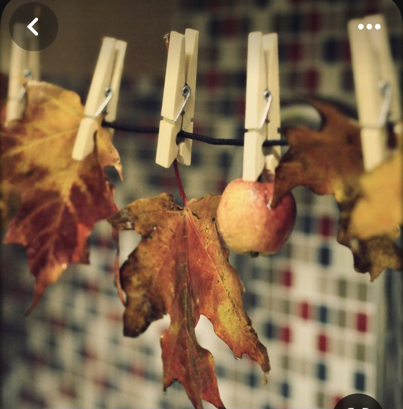 Screenshot_20231115_212449_Pinterest