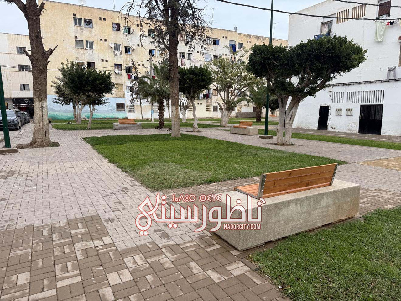 615890497-1451380556612782-2416799429725556486-n