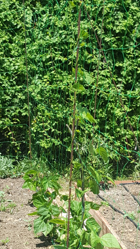 WhatsApp Image 2020-05-23 at 18.55.12 (2)