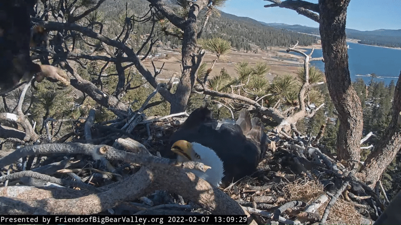 Webp.net-gifmaker (1)