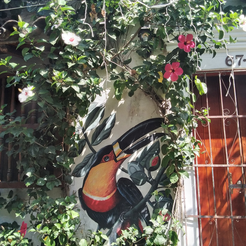 Зимовка 2026, полтора месяца в Колумбии.