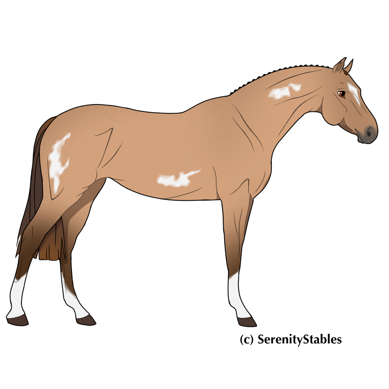 Untitled56-20241111203036.png