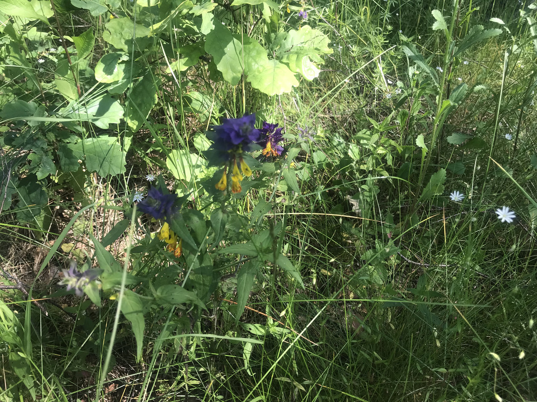 A1BFFA8E-3DE7-4723-8BEC-A54EDC203BF7