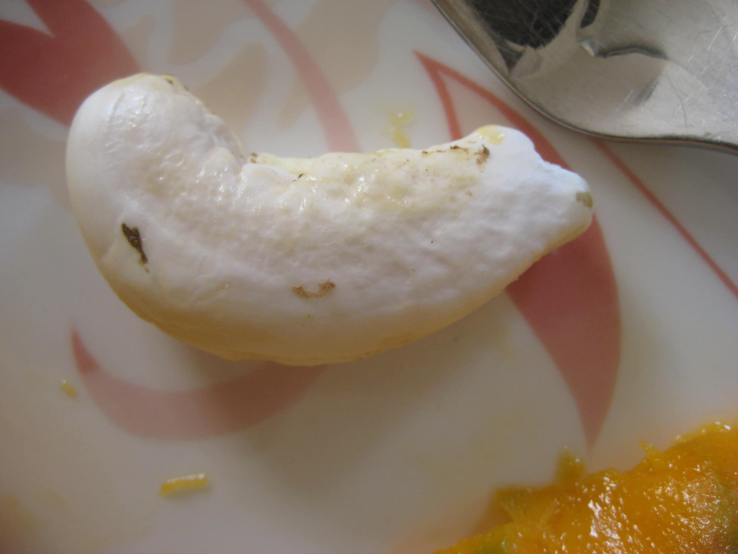 Mango cv Amelie 04.2014IMG_1130