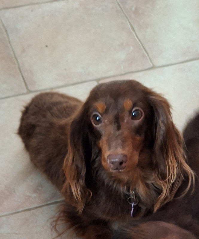 [Image: 20250109-143837.jpg]