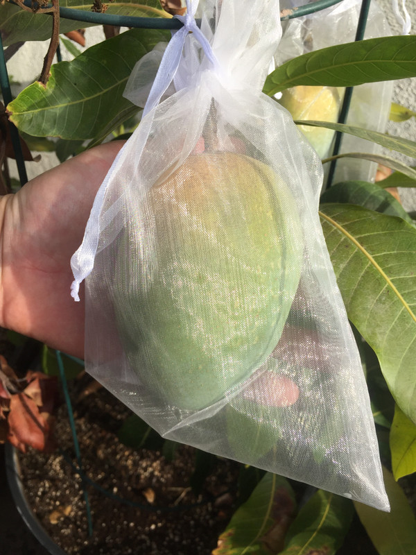 09ACFC56-E81A-40E7-BBDA-90A7A4926F82