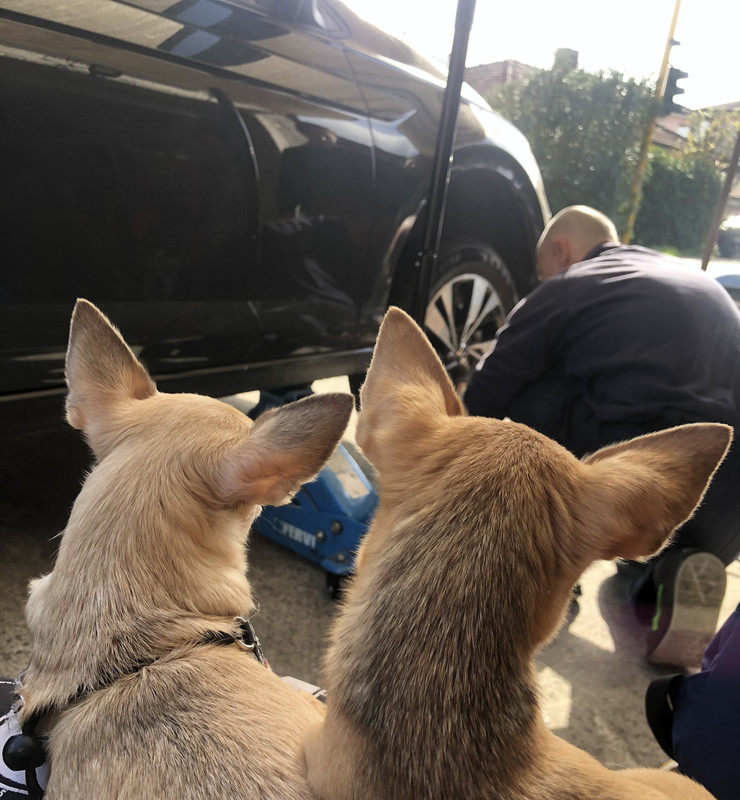 00313E50-4589-49BB-B142-B54A30C56DB8