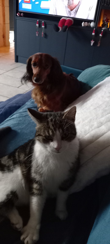 [Image: 20241201-163658.jpg]