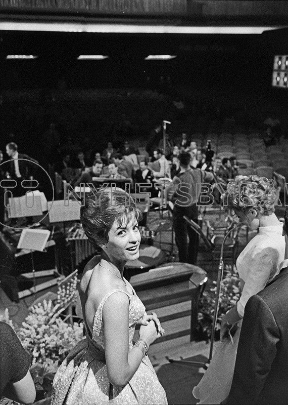 29749375_1850036238360719_531519759664541673_o