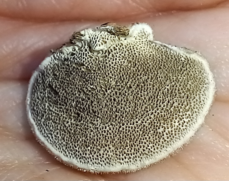 20250118-150605