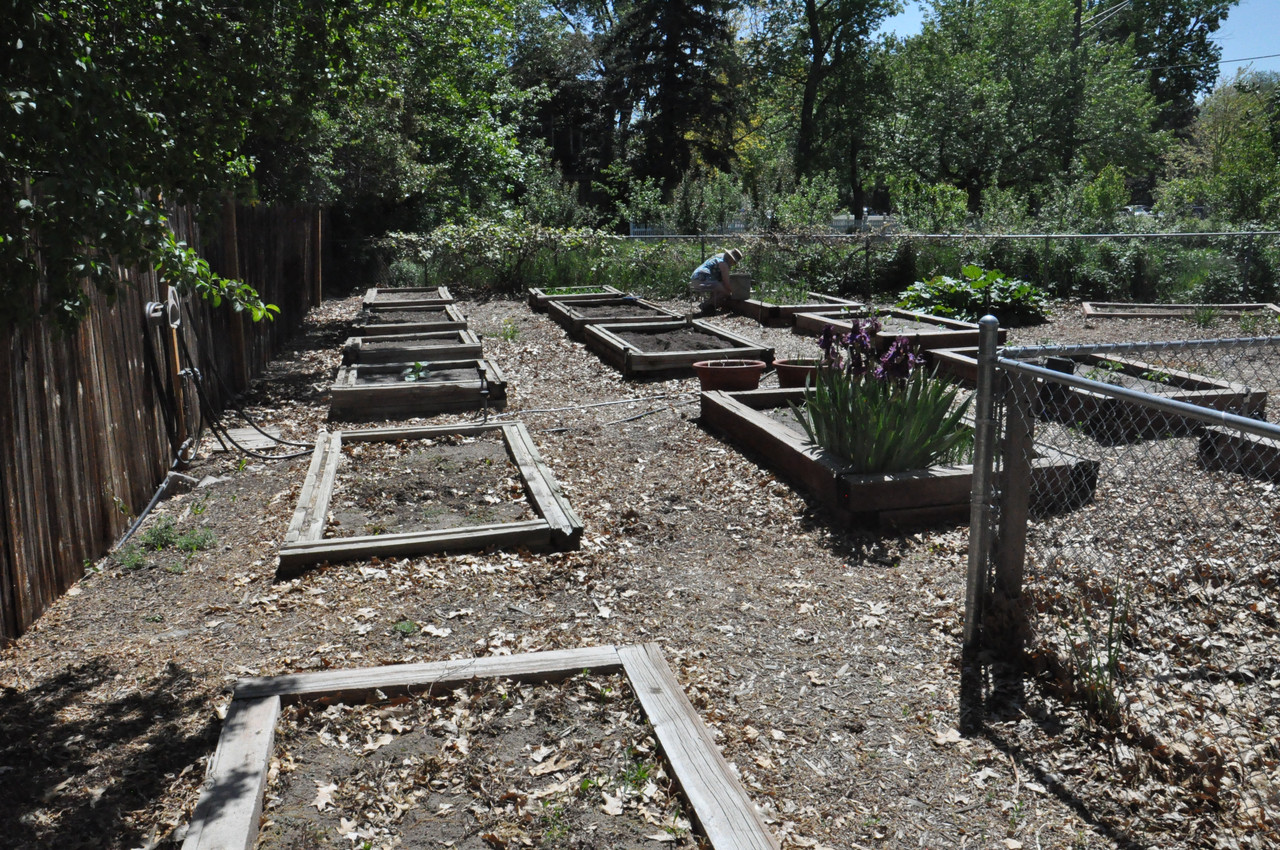 Garden 05 21 25 09