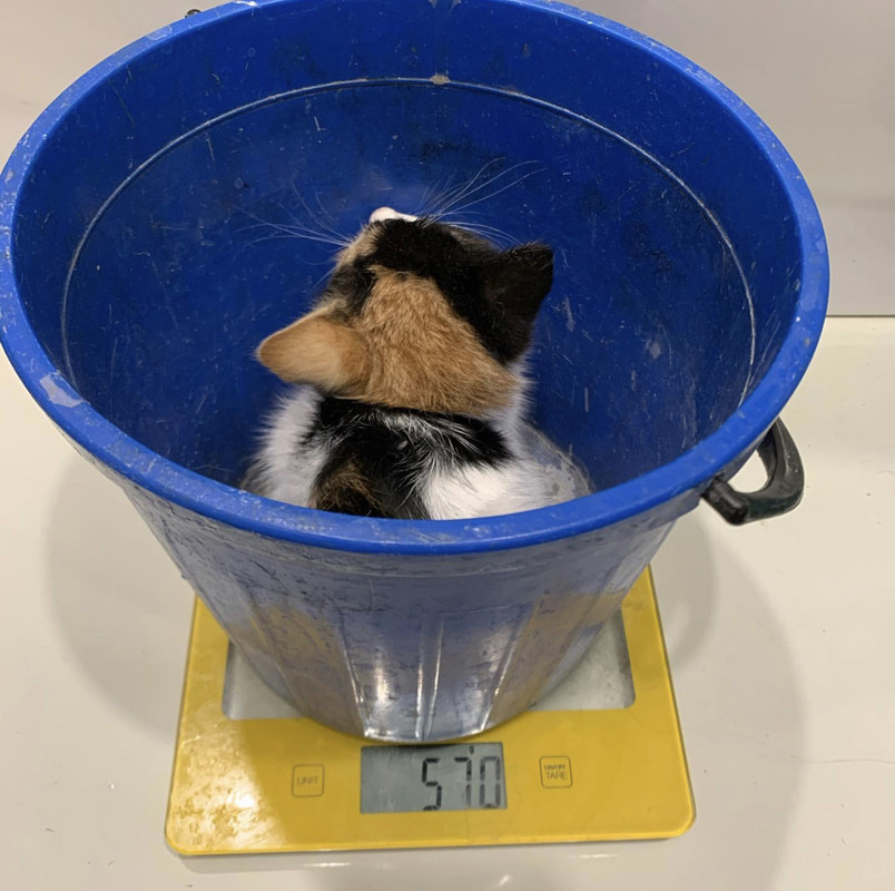 A1F15FD1-3B4E-43E3-AF20-02823F36CD7D