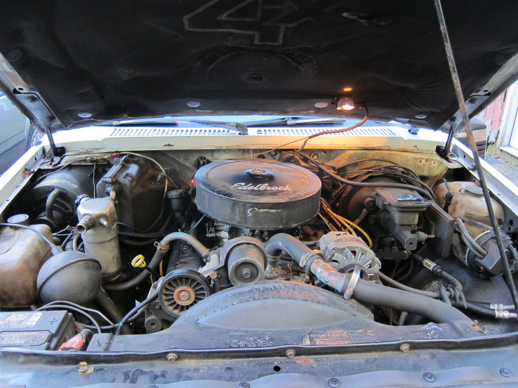 IMG-4950.jpg