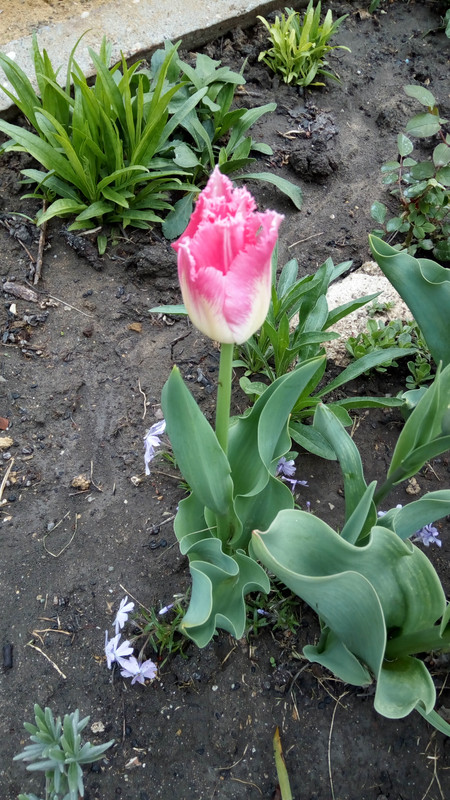 IMG_20190407_155627