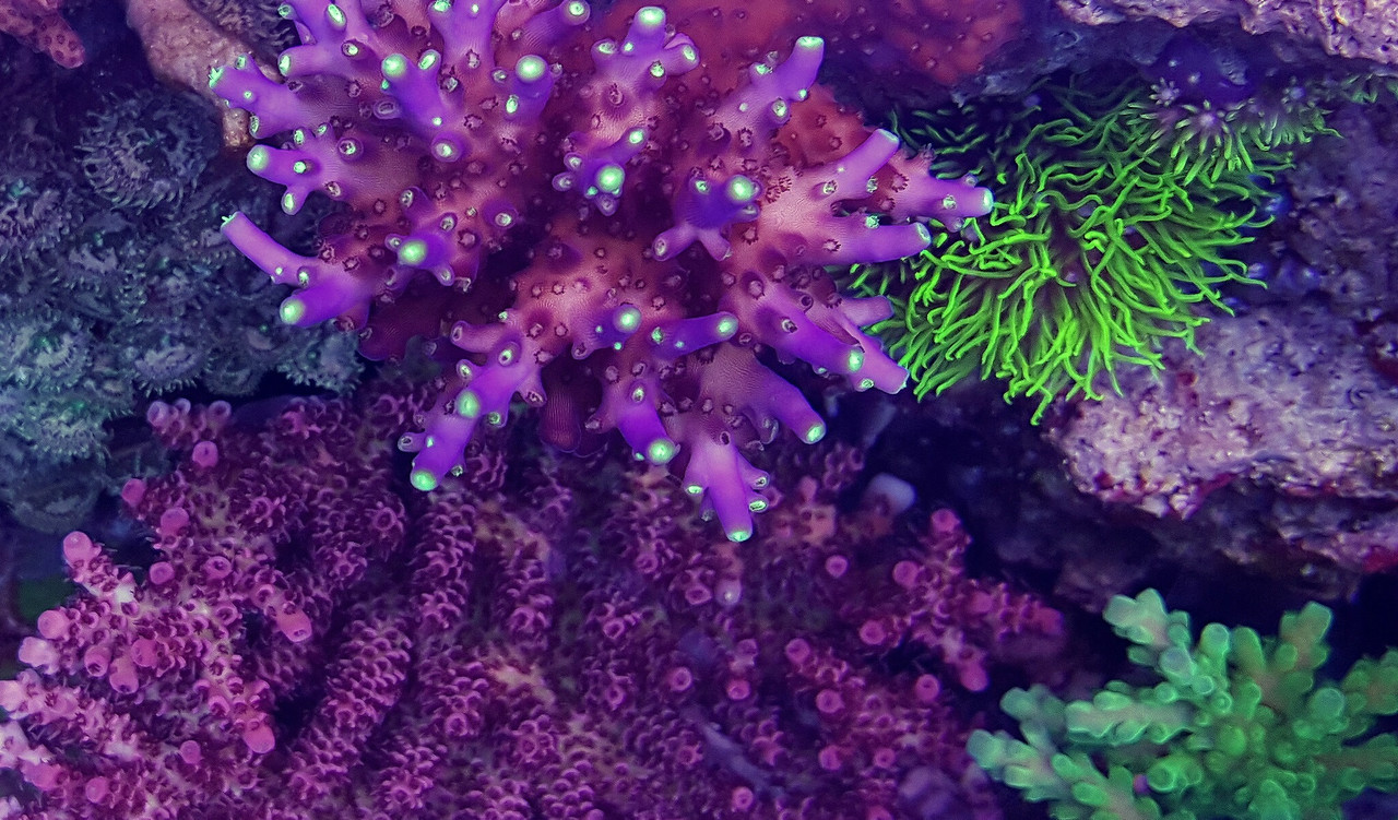 20150623_064315_PerfectlyClear