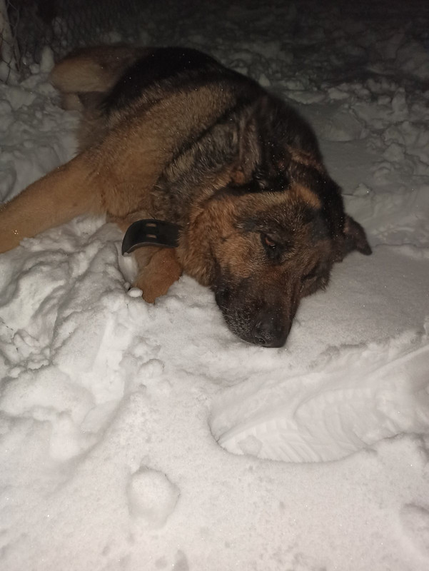 B1BAEC1C-FE8B-49A9-B13C-1D68B36A85F1