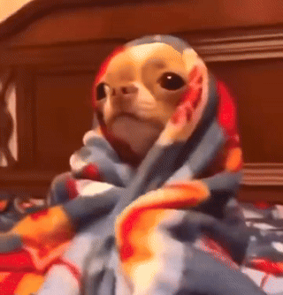 tired.gif
