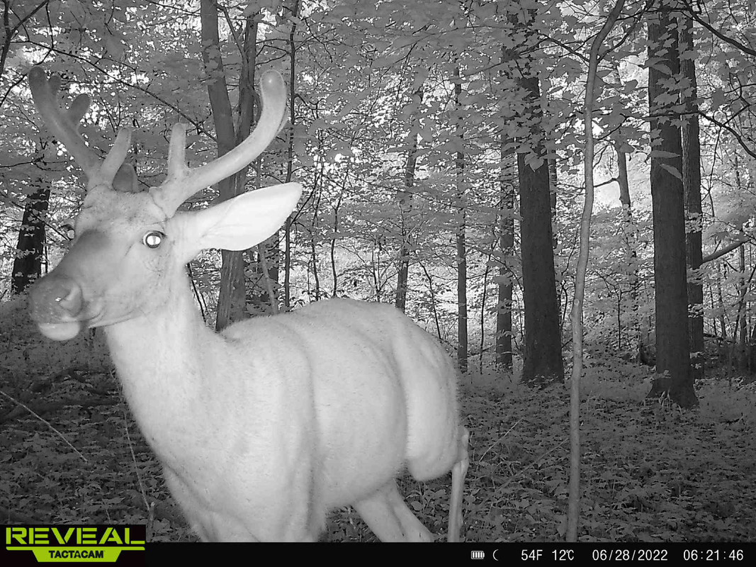 D11DD088-9246-4120-8BBC-1E1873040AC3