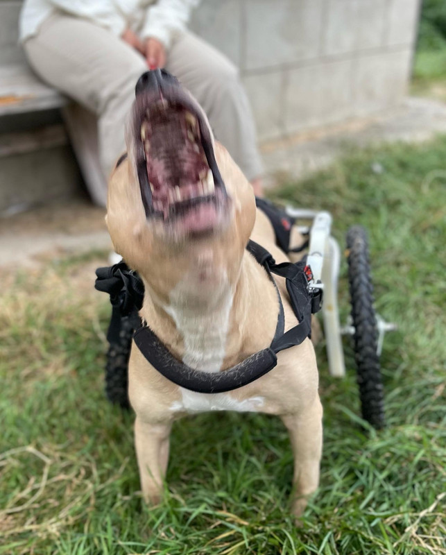 DB1C9181-DAAB-4D88-BA01-58A29EC3DC71