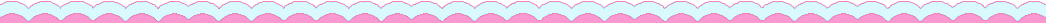 Border - DNU / NFTU